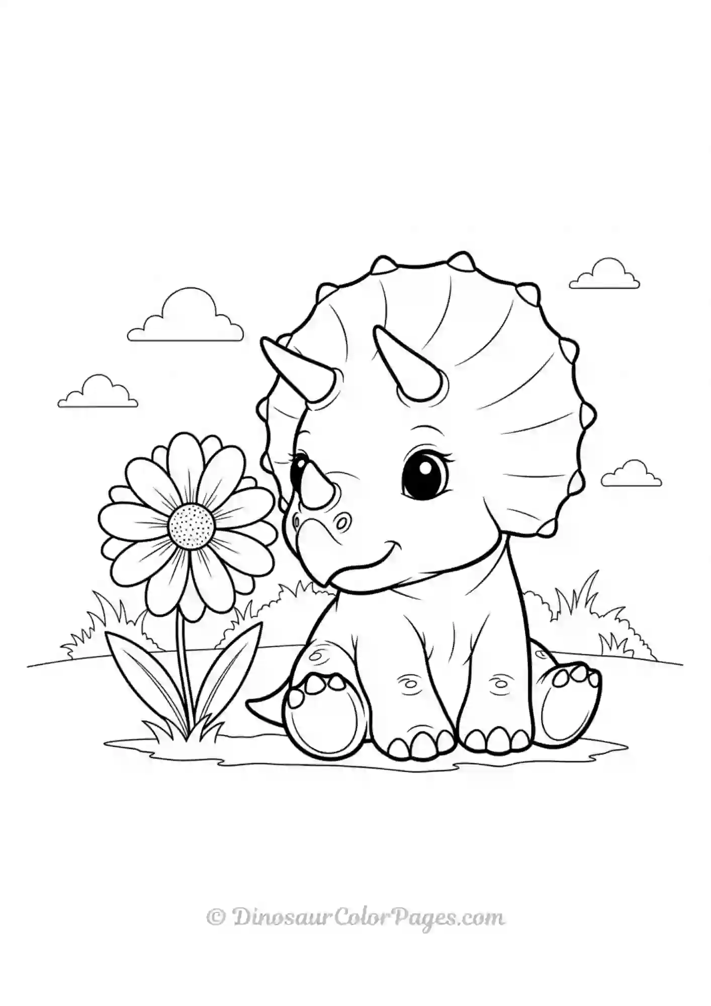 Baby Triceratops