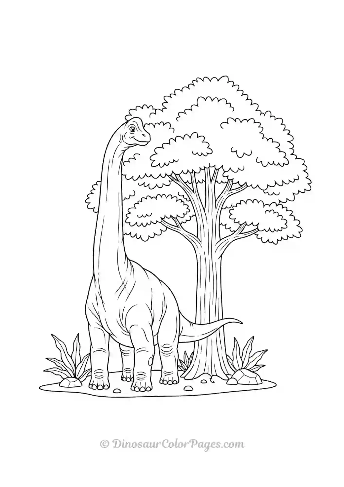 Brachiosaurus_long-neck
