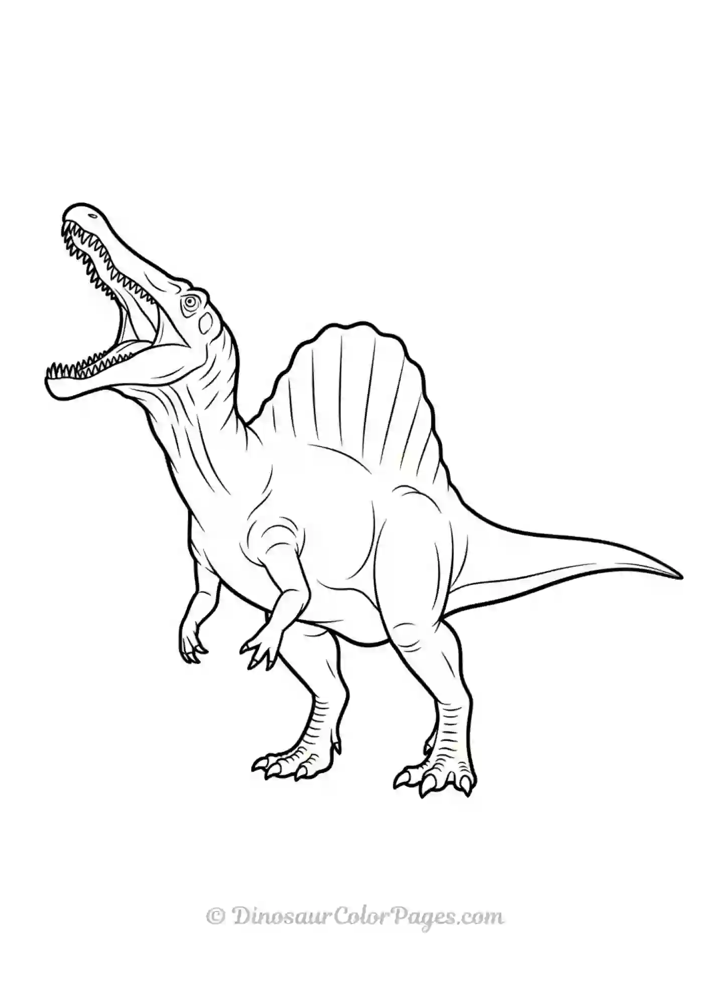 Realistic Spinosaurus Coloring Page