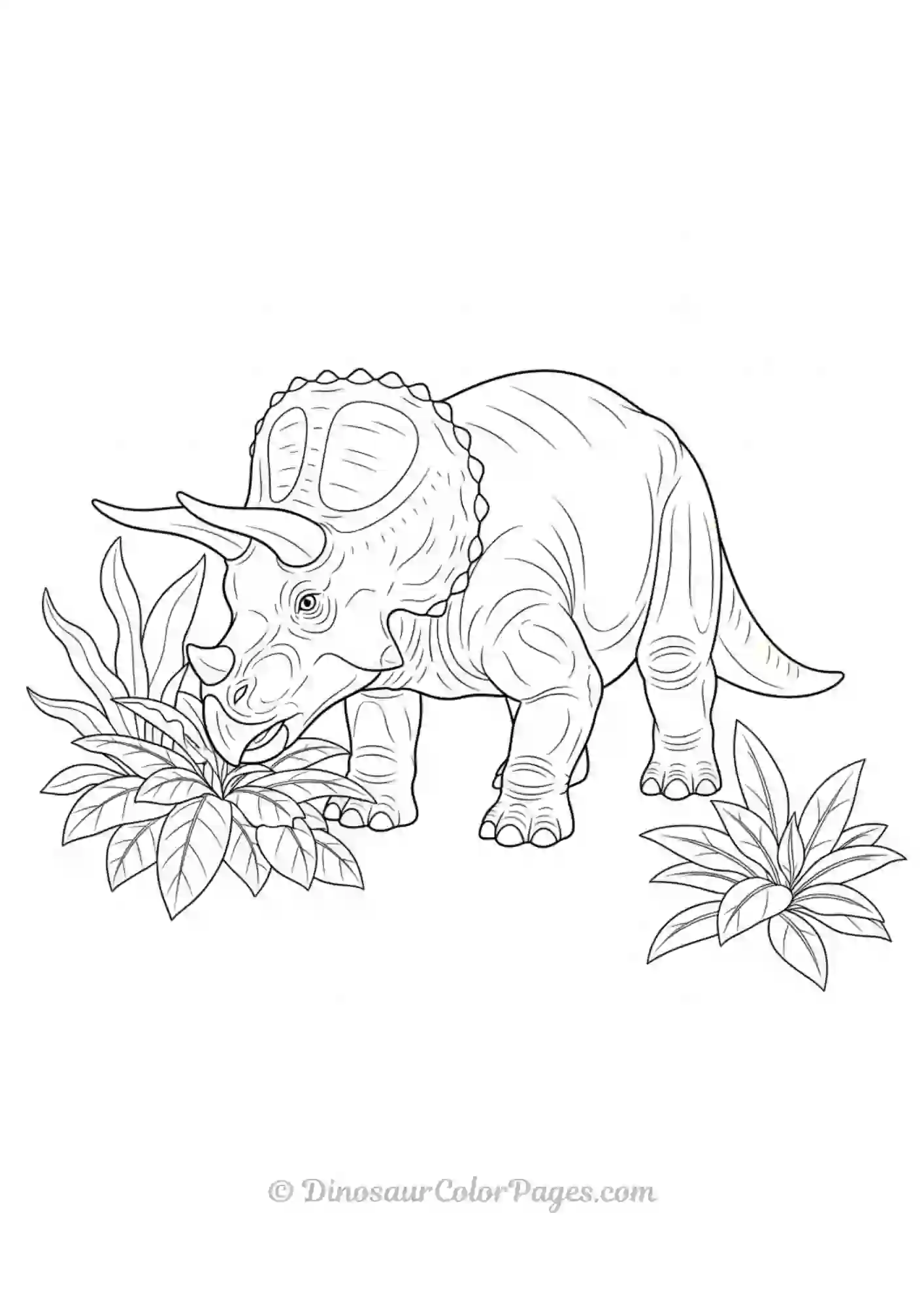 Realistic Triceratops